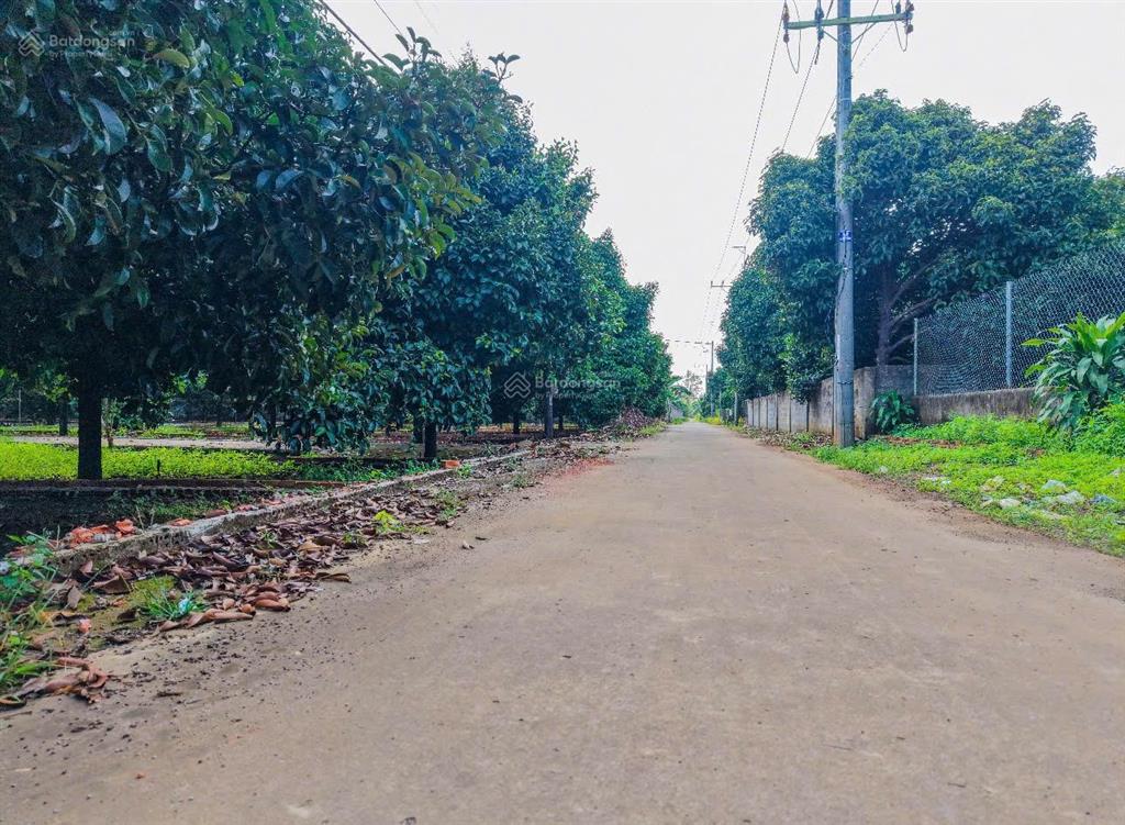 Kề dự án the link city chỉ 775tr sở hữu ngay lô đất full thổ cư ngay tại trung tâm dầu giây