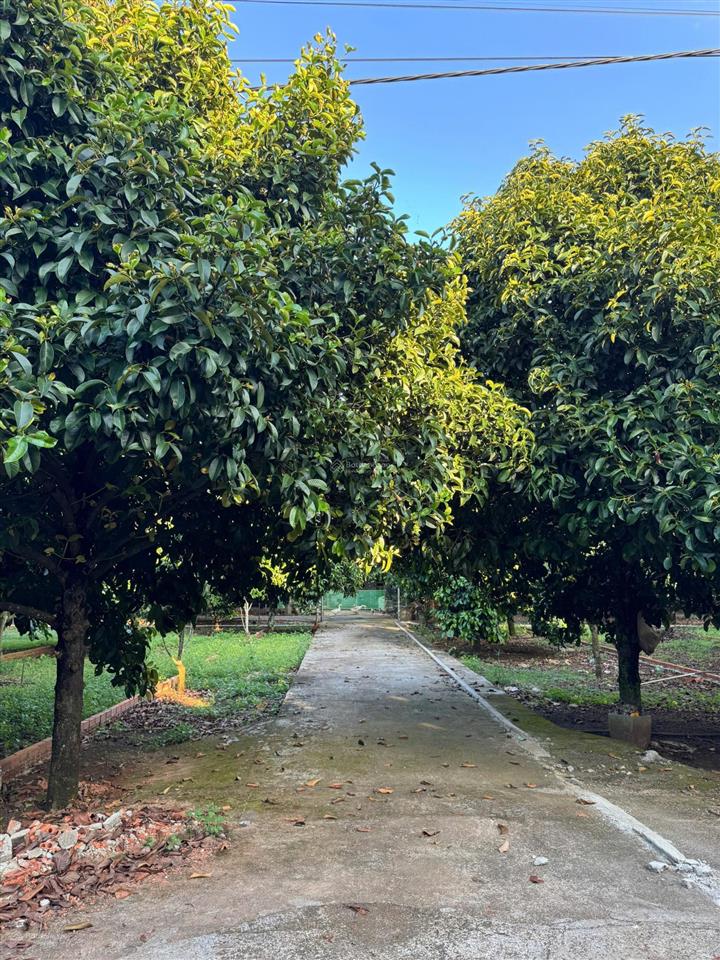 Kề dự án the link city chỉ 775tr sở hữu ngay lô đất full thổ cư ngay tại trung tâm dầu giây