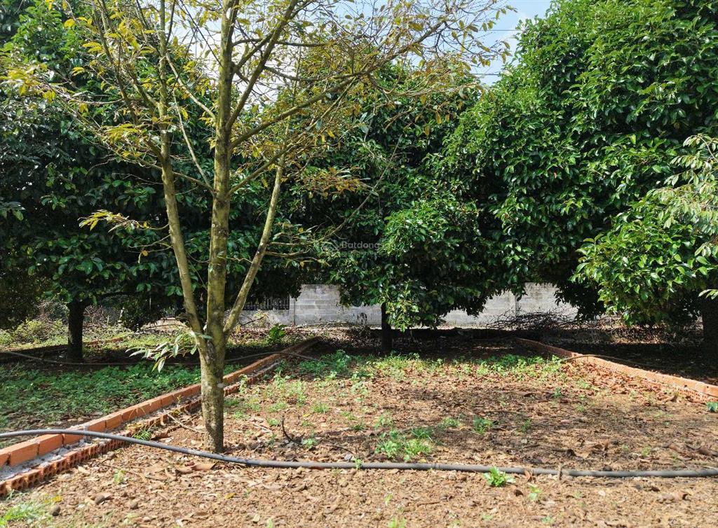 Kề dự án the link city chỉ 775tr sở hữu ngay lô đất full thổ cư ngay tại trung tâm dầu giây