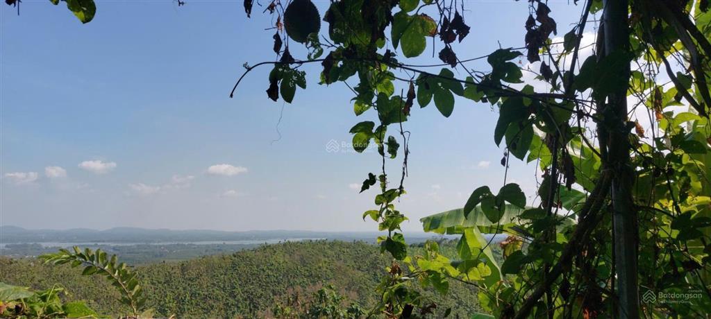 Đất nhà vườn view hồ trị an, ql20  ngang lớn 22m  mặt tiền đường bê tông  shr