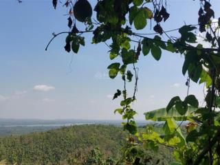 Đất nhà vườn view hồ trị an, ql20  ngang lớn 22m  mặt tiền đường bê tông  shr