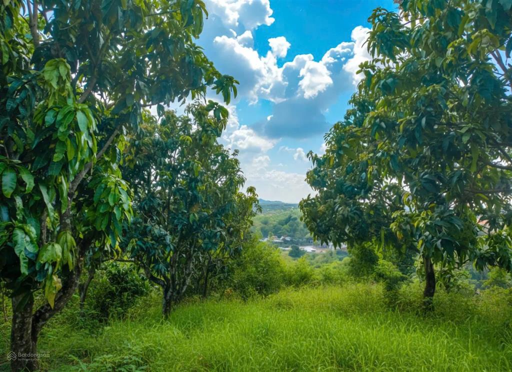 Đất nhà vườn view hồ trị an, ql20  ngang lớn 22m  mặt tiền đường bê tông  shr