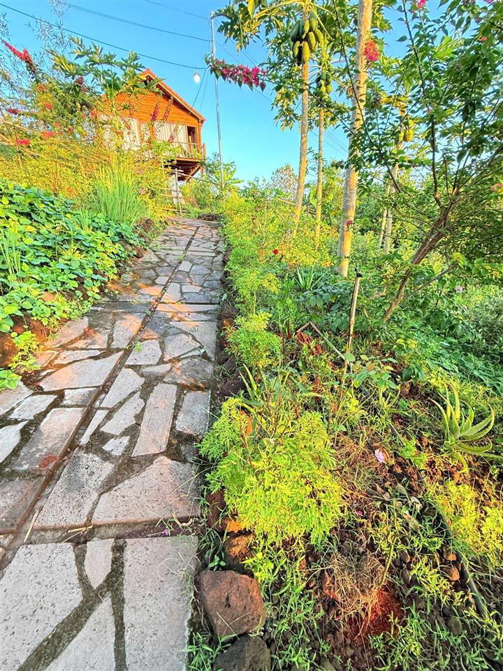 Đất nhà vườn view hồ trị an, ql20  ngang lớn 22m  mặt tiền đường bê tông  shr