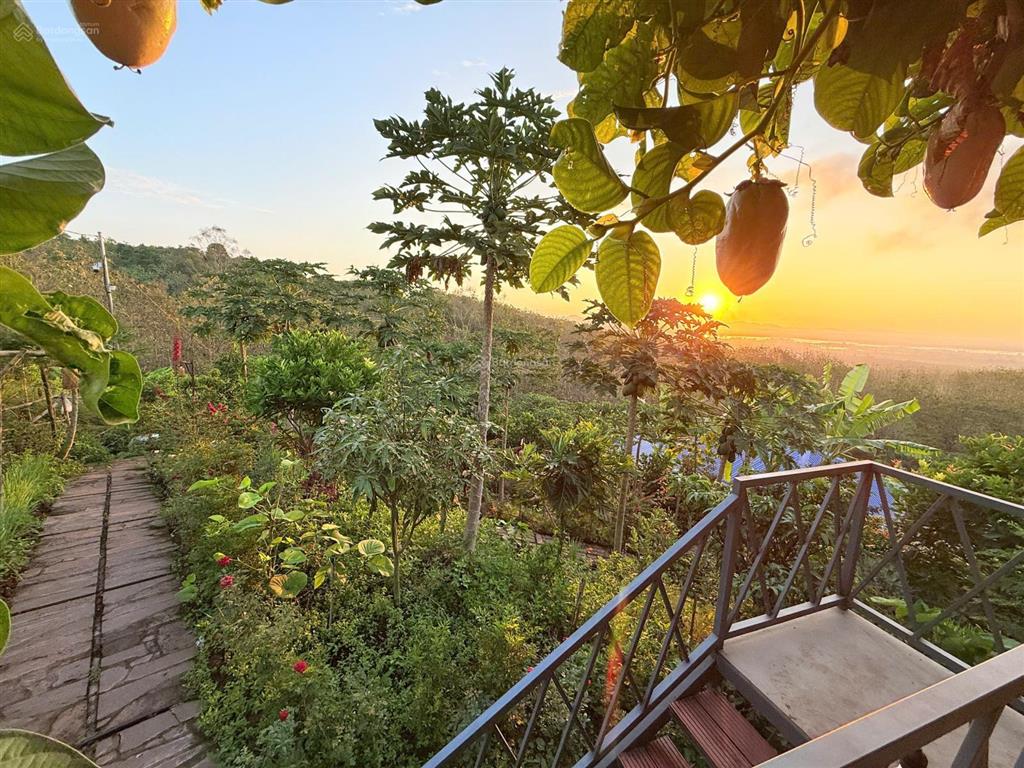 Chủ ngộp cần bán gấp lô đất vườn 1400m2, view sông la ngà, ql20  chỉ 770tr/sào