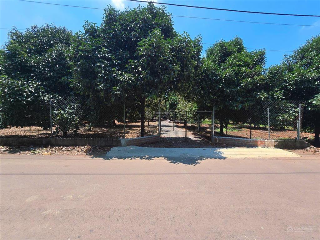 Còn 1 sổ duy nhất mặt tiền đường nhựa  ngay tt dầu giây  chỉ 850tr  shr