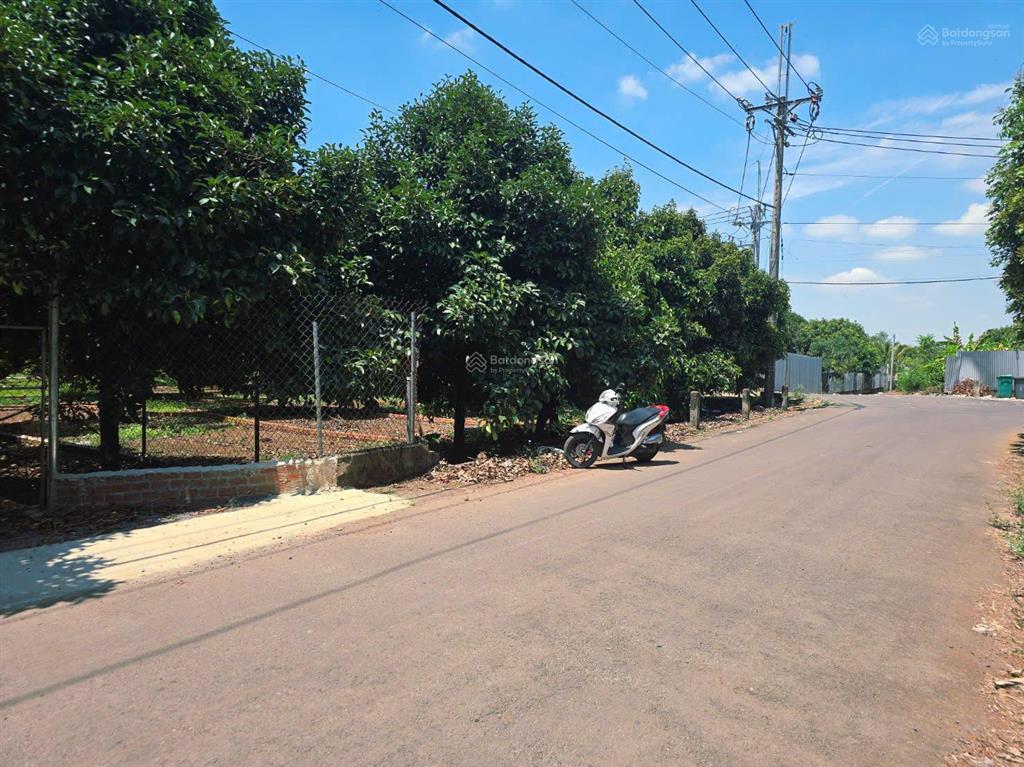 Còn 1 sổ duy nhất mặt tiền đường nhựa  ngay tt dầu giây  chỉ 850tr  shr