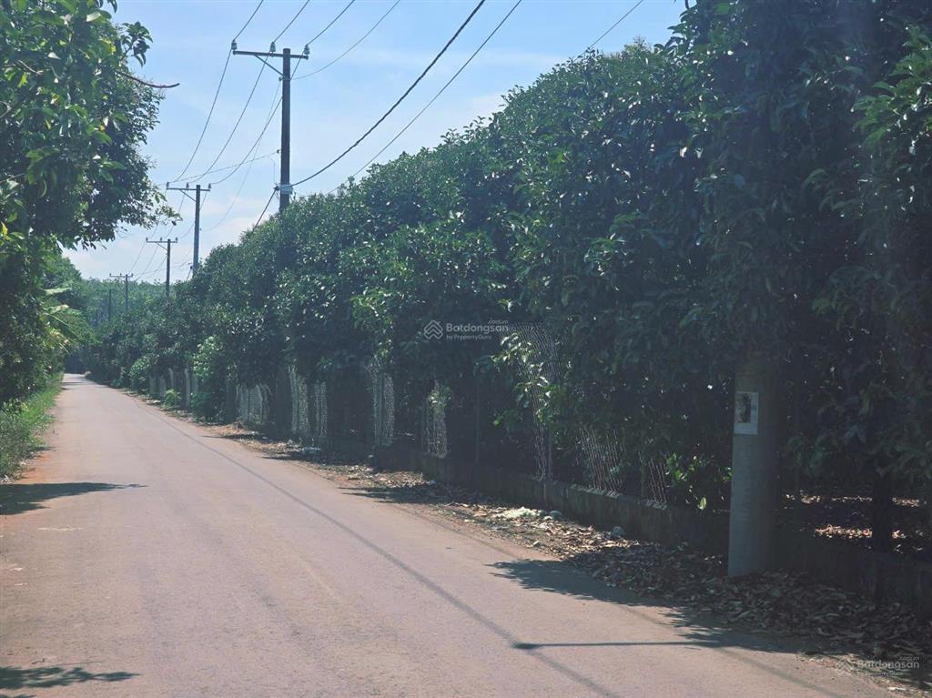 Còn 1 sổ duy nhất mặt tiền đường nhựa  ngay tt dầu giây  chỉ 850tr  shr