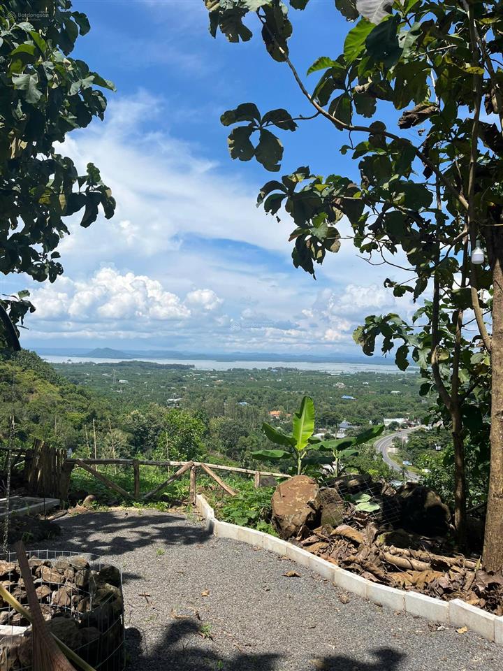 Sở hữu mảnh vườn đồi view hồ trị an 1197m2  shr  giáp suối  cách ql20 chỉ 500m