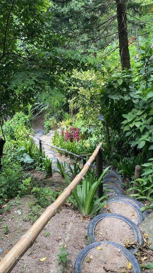 Sở hữu mảnh vườn đồi view hồ trị an 1197m2  shr  giáp suối  cách ql20 chỉ 500m