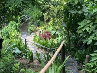 Sở hữu mảnh vườn đồi view hồ trị an 1197m2  shr  giáp suối  cách ql20 chỉ 500m