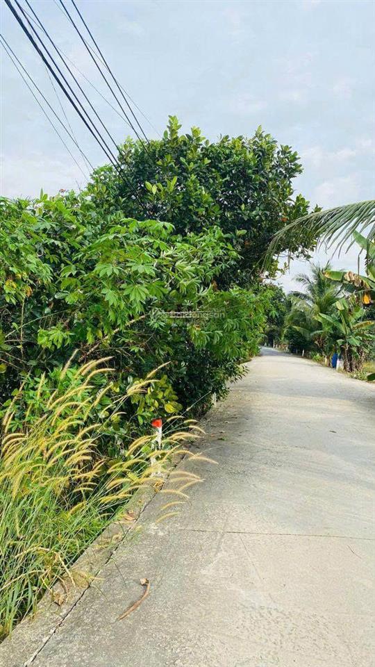 Sở hữu mảnh vườn đồi view hồ trị an 1197m2  shr  giáp suối  cách ql20 chỉ 500m