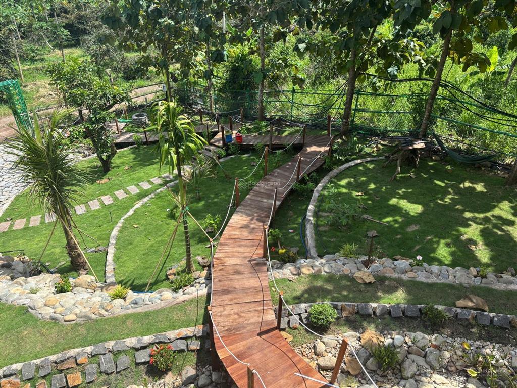 Sở hữu mảnh vườn đồi view hồ trị an 1197m2  shr  giáp suối  cách ql20 chỉ 500m