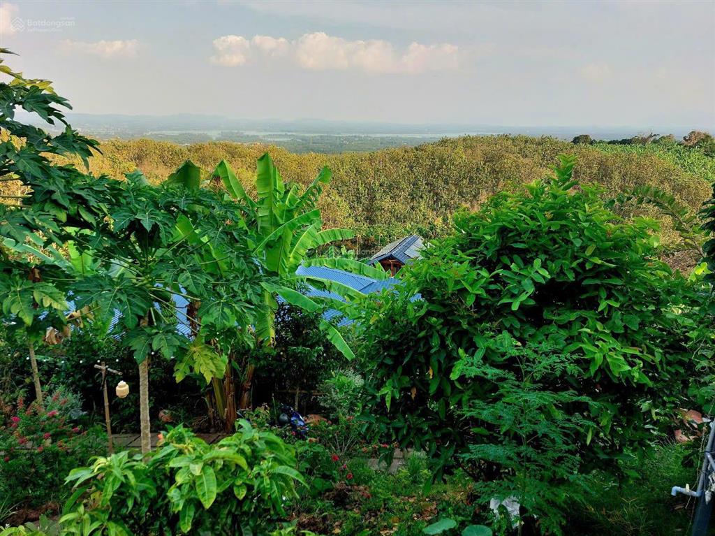 Săn đất view hồ trị an nghỉ dưỡng  đường bê tông  chỉ 850tr shr