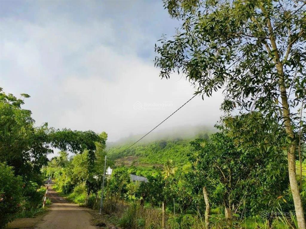 Săn đất view hồ trị an nghỉ dưỡng  đường bê tông  chỉ 850tr shr