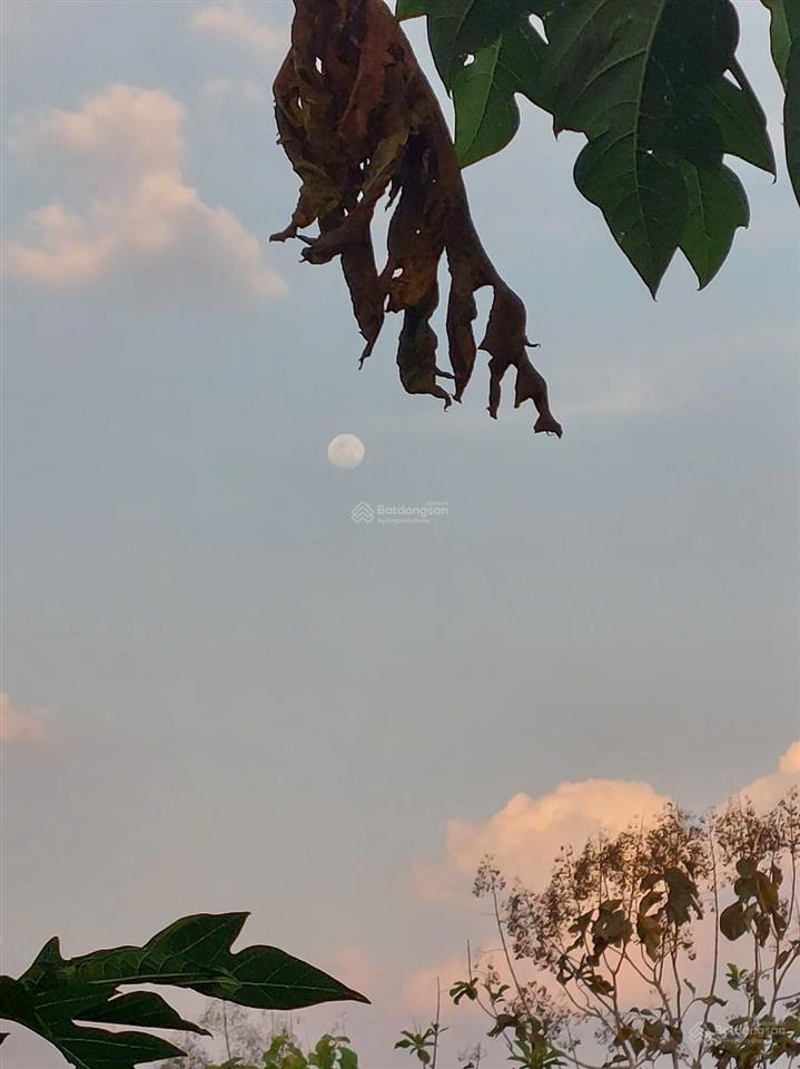 Săn đất view hồ trị an nghỉ dưỡng  đường bê tông  chỉ 850tr shr