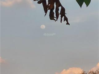 Săn đất view hồ trị an nghỉ dưỡng  đường bê tông  chỉ 850tr shr