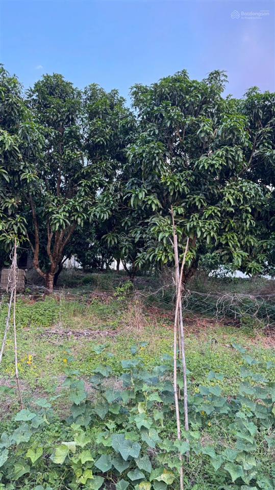 Săn đất view hồ trị an nghỉ dưỡng  đường bê tông  chỉ 850tr shr