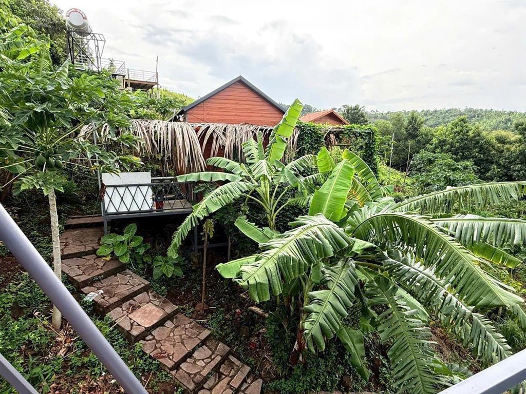 Đất vườn sinh thái view thung lũng xanh mát giáp suối  mặt tiền đường bê tông  phù hợp nghỉ dưỡng