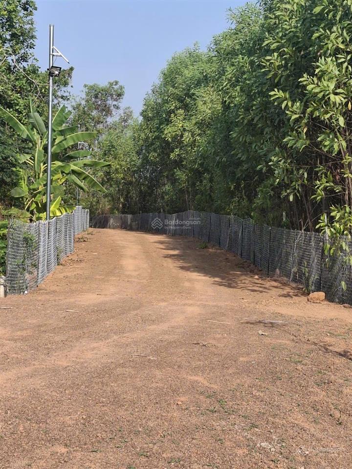 Hàng ngộp! 630m2 đất đô thị tt vĩnh an chỉ 520 triệu, nay phường trị an  shr
