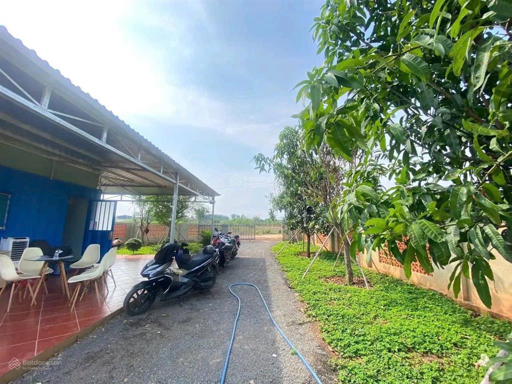 Chỉ 450 triệu sở hữu ngay 507m2 shr tại phường trị an  tp đồng nai