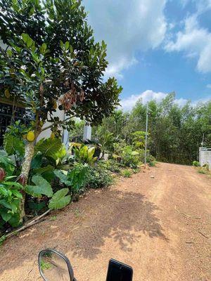 Hàng ngộp  lô đất trung tâm vĩnh an 714m² chỉ 490tr gần hồ trị an  quy hoạch đất ở đô thị