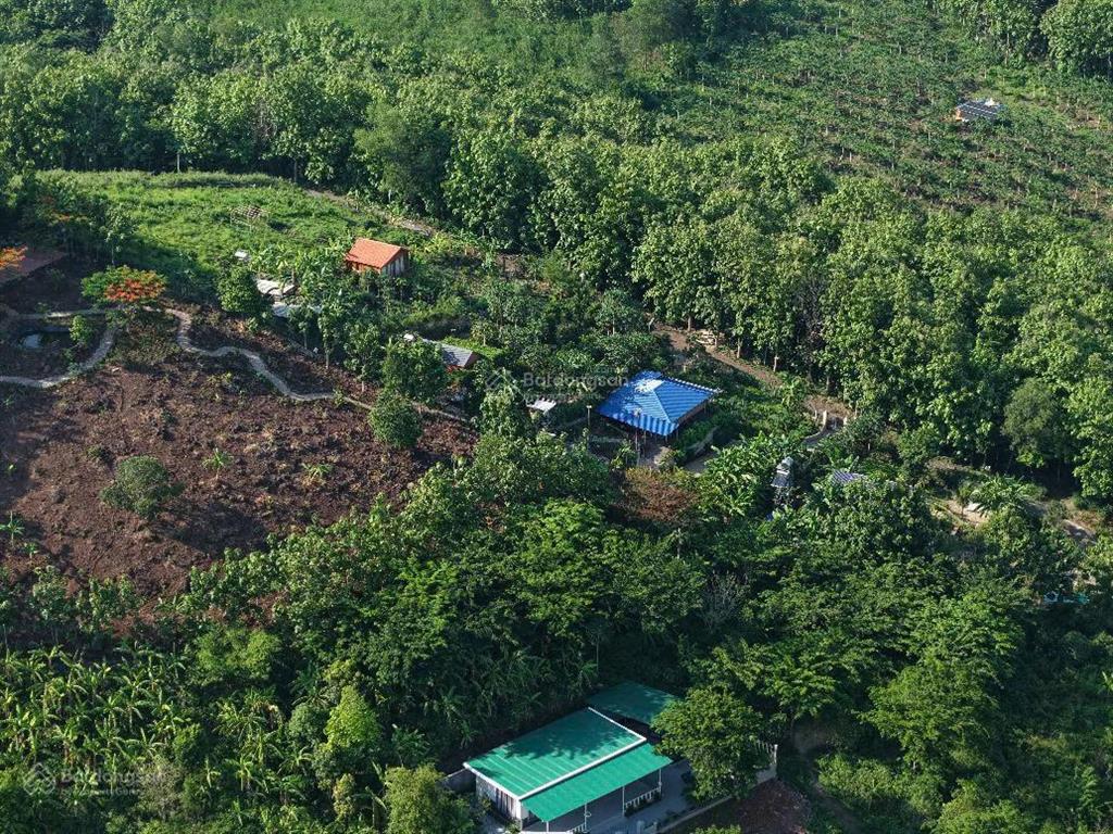 Chủ ngộp cần bán gấp lô đất vườn cây ăn trái 1350m2  cách nút giao cao tốc chỉ 4km