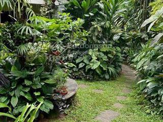 Chủ ngộp cần bán gấp lô đất vườn cây ăn trái 1350m2  cách nút giao cao tốc chỉ 4km