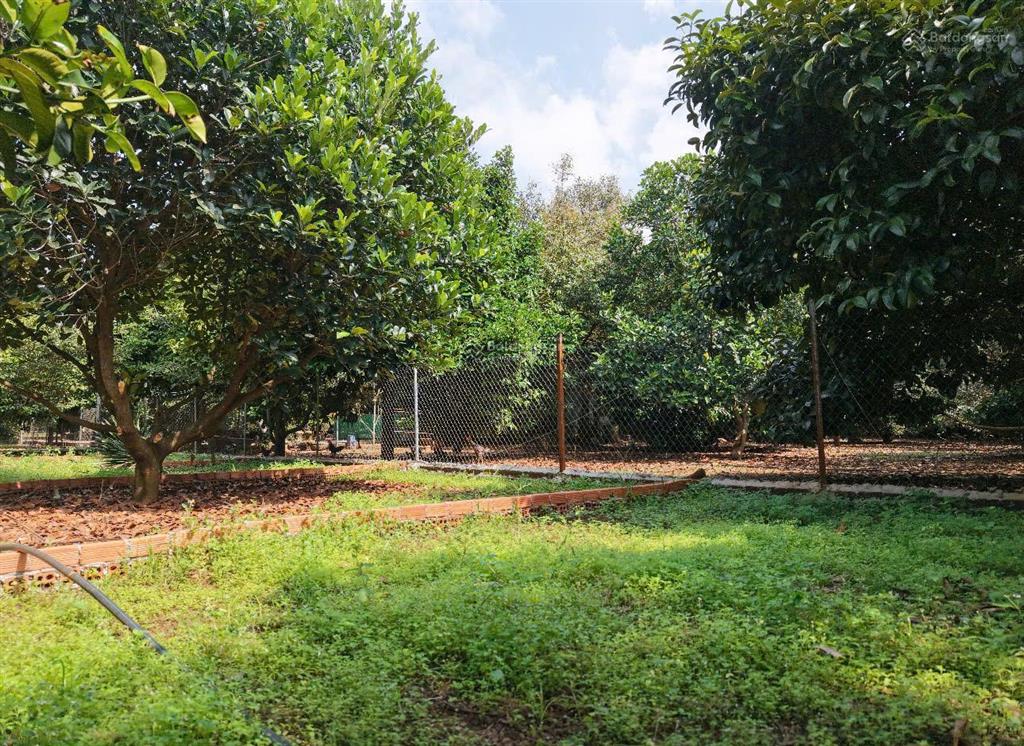 Ngộp! 125m2 full thổ cư tại trung tâm phường dầu giây chỉ 750tr  shr