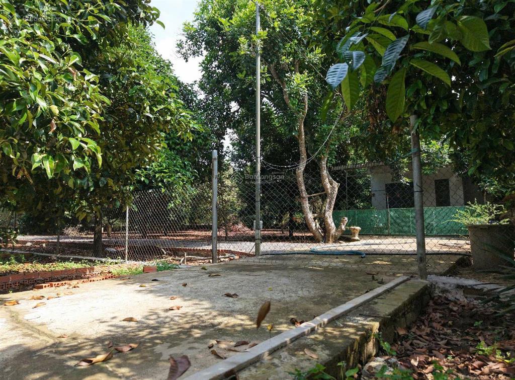 Ngộp! 125m2 full thổ cư tại trung tâm phường dầu giây chỉ 750tr  shr