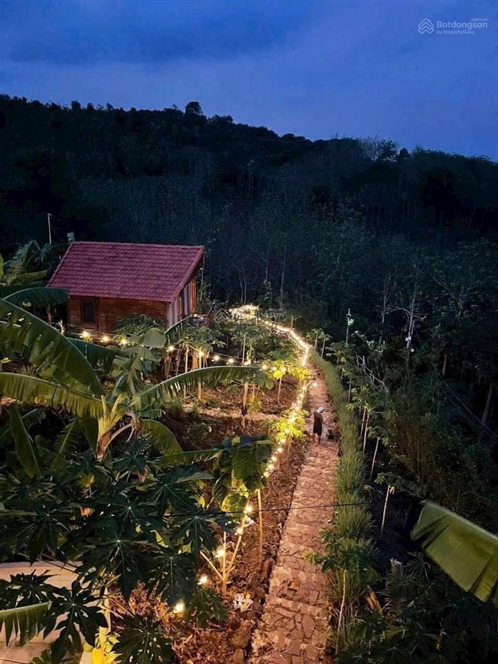 Hàng ngộp cực hiếm đất vườn view hồ trị an & thung lủng 1500m2  không gian xanh yên bình