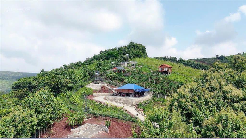 Hàng ngộp cực hiếm đất vườn view hồ trị an & thung lủng 1500m2  không gian xanh yên bình