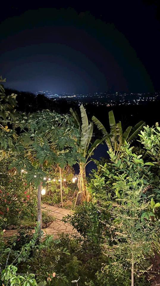 Hàng ngộp cực hiếm đất vườn view hồ trị an & thung lủng 1500m2  không gian xanh yên bình