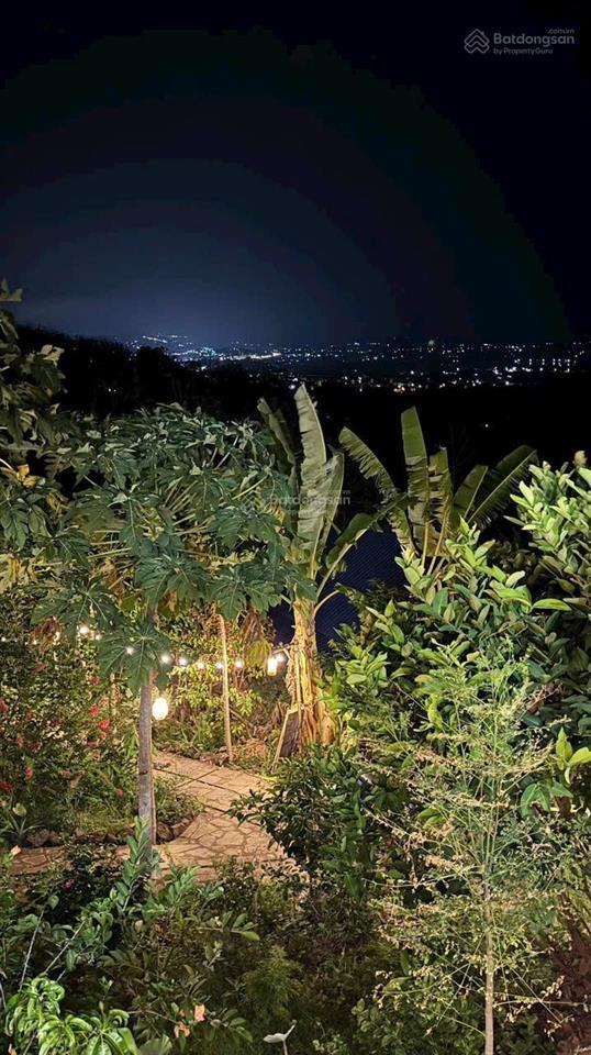 Đất vườn view hồ săn mây, đón gió giữa không gian xanh  chỉ 950tr