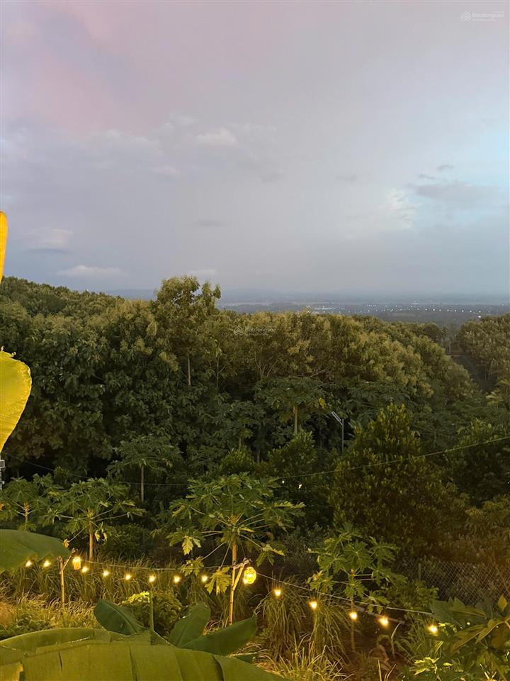 Sở hữu ngay đất vườn đồi 1500m2 view săn mây  gần hồ mát mẻ  chỉ 1,1 tỷ  có bank hỗ trợ