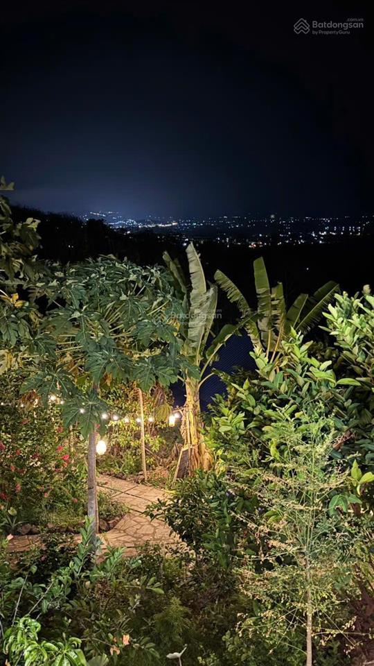 Sở hữu ngay đất vườn đồi 1500m2 view săn mây  gần hồ mát mẻ  chỉ 1,1 tỷ  có bank hỗ trợ