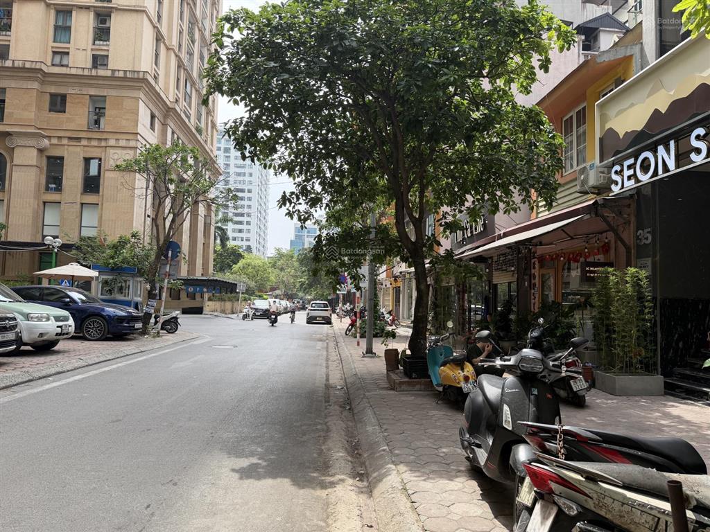 Mp mai anh tuấn view hồ hoàng cầu, 2 thoáng, mặt sau ô tô tránh vỉa hè. 310m2 4t mt 10m giá 169 tỷ