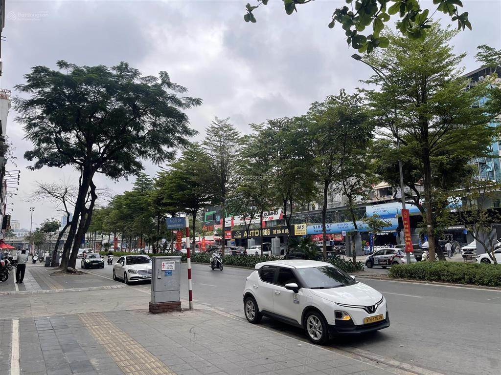 Giảm chào 10 tỷ, mp nguyễn khánh toàn, 105m2 5t mt 4,4m giá 57 tỷ, vỉa hè 10m, qh ổn định, hiếm