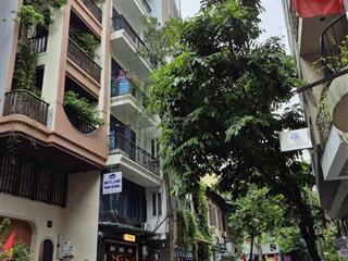 Bán nhà mp trường chinh  phương liệt 112m2 8t giá 43 tỷ, doanh thu 120tr/th  qh ổn định 2 thoáng