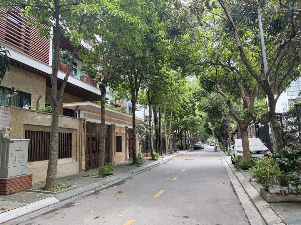 Bán biệt thự dịch vọng ở ngay, 310m2 5t 90 tỷ, sát vđ 2.5 ngay gần cv cầu giấy, thang máy, ở sướng