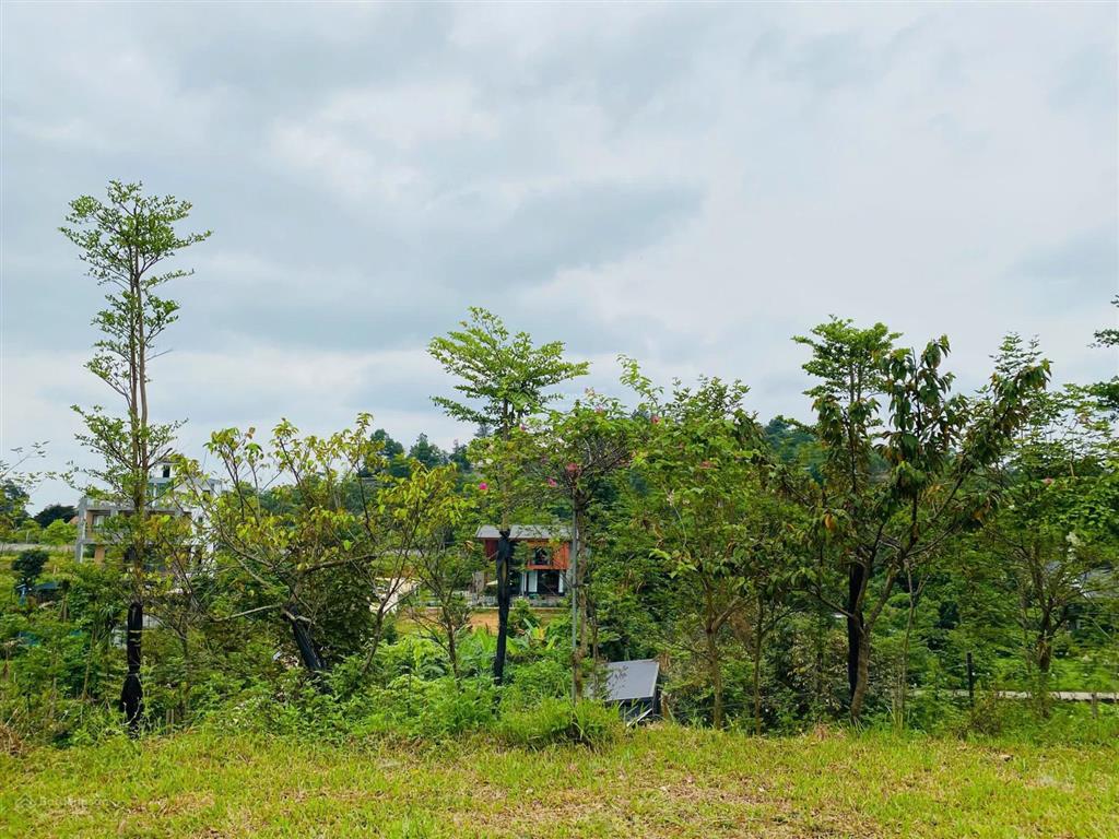 Bán trang trại, khu nghỉ dưỡng ở yên bài, 15 triệu vnd/m2, 317m2, tựa sơn hướng hồ yên bài sát rose