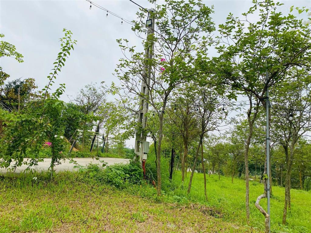 Bán trang trại, khu nghỉ dưỡng ở yên bài, 15 triệu vnd/m2, 317m2, tựa sơn hướng hồ yên bài sát rose