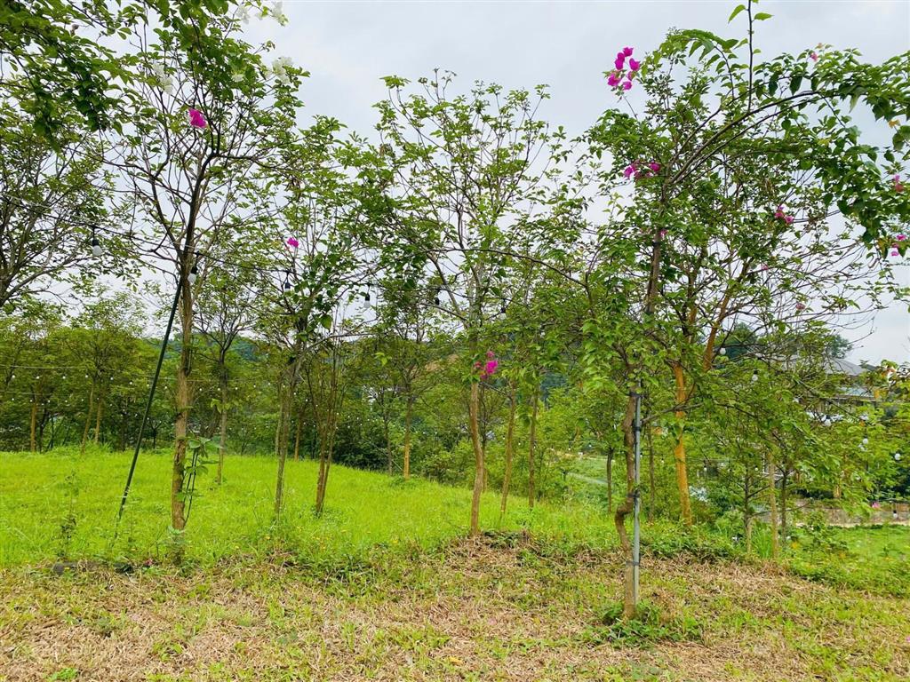 Bán trang trại, khu nghỉ dưỡng ở yên bài, 15 triệu vnd/m2, 317m2, tựa sơn hướng hồ yên bài sát rose