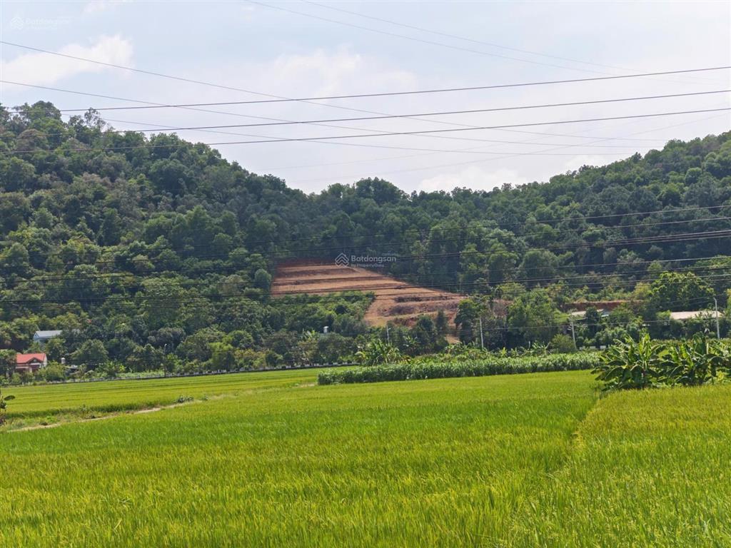 Bán đất tại tùng thiện, 39 tỷ, 6000m2, pháp lý đầy đủ, mặt tiền 60m