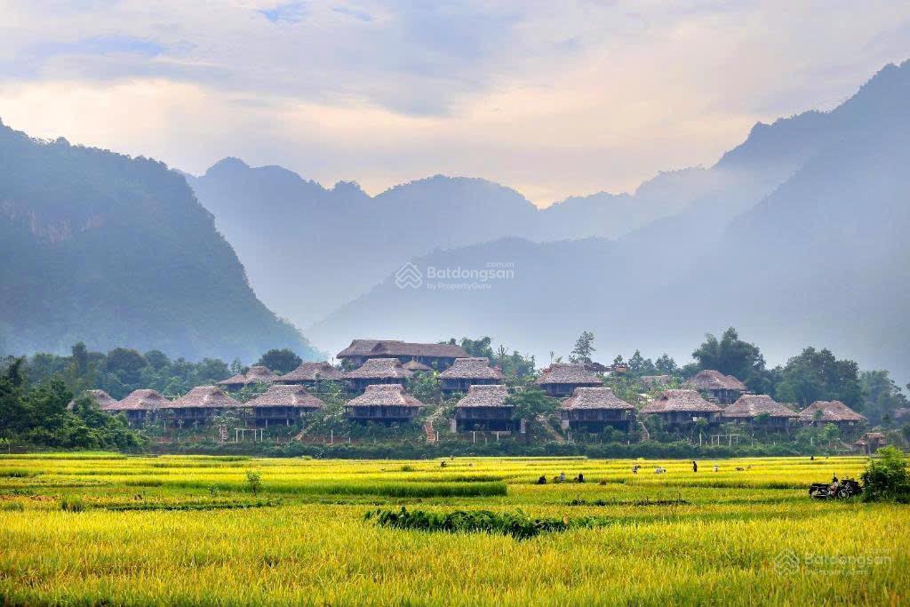 Bđs dt gần 7500m2, sẵn 800m2 thổ cư, có địa thế giống mai châu ecolodge hòa bình