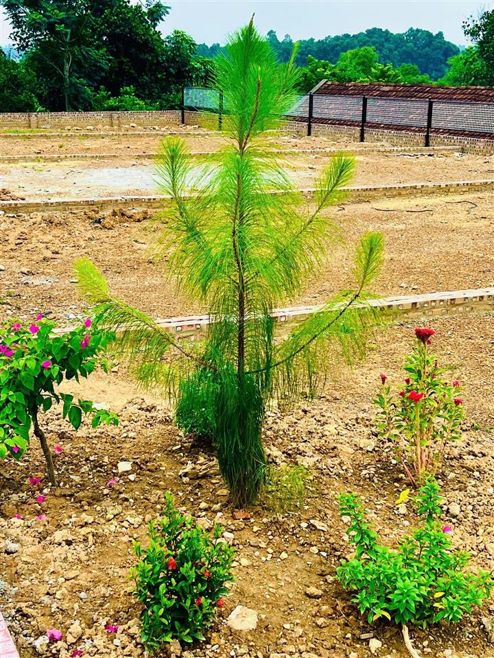 Bán đất tại tùng thiện, 2,5 tỷ, 100m2, pháp lý đầy đủ, hướng đông nam