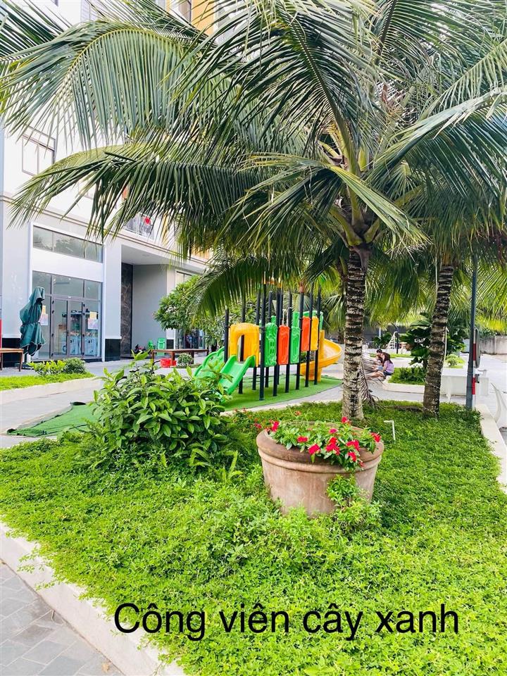 Bán căn hộ an phú 2 phòng ngủ giá tốt
