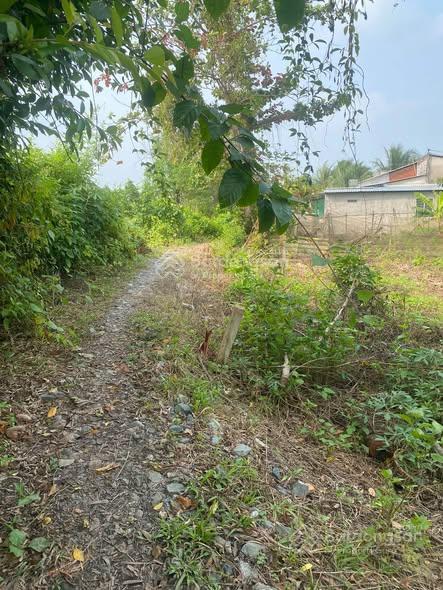 Bán đất ngã bảy hậu giang giá tốt