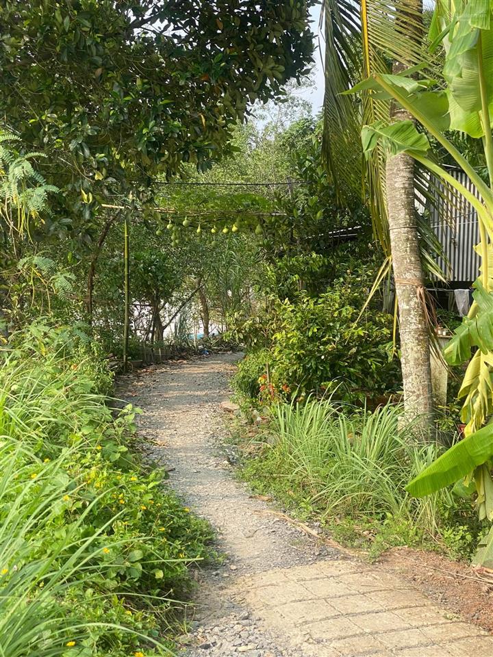 Bán đất ngã bảy hậu giang giá tốt