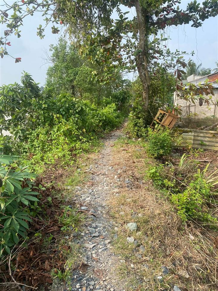 Bán đất ngã bảy hậu giang giá tốt