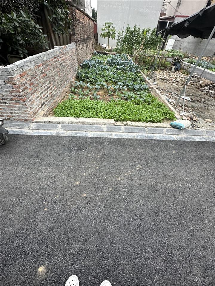 50m đất đẹp nam hồng phúc thịnh đông anh ngõ thông ô tô  cách 20m ra bìa làng ô tô tránh